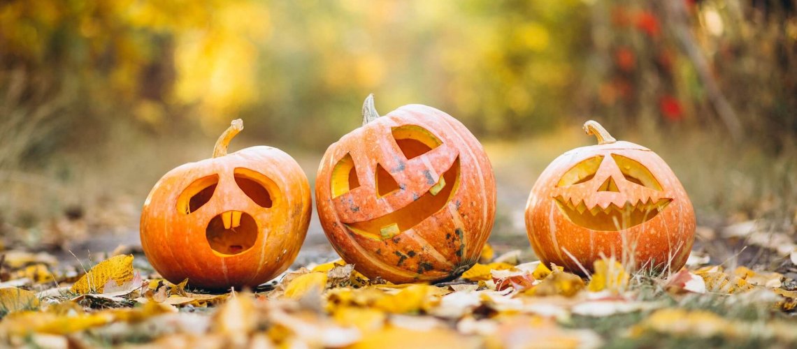 pumpkin-gc4c3a0b83_1920